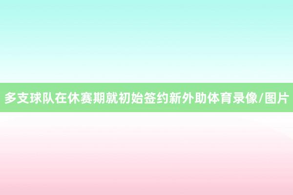 多支球队在休赛期就初始签约新外助体育录像/图片