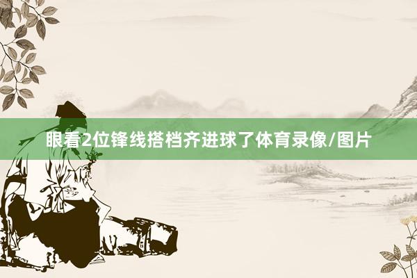 眼看2位锋线搭档齐进球了体育录像/图片