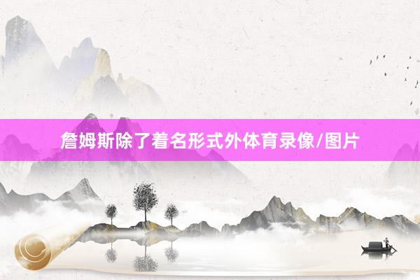 詹姆斯除了着名形式外体育录像/图片