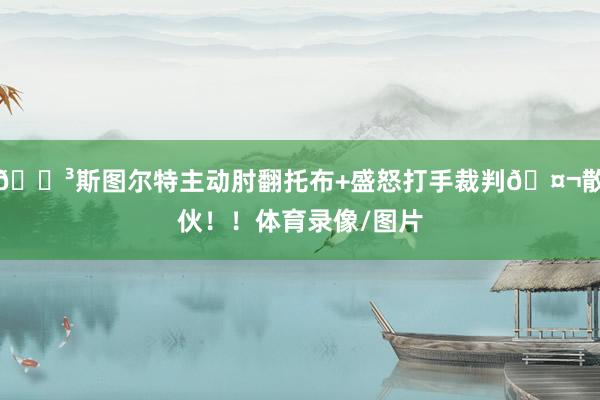 😳斯图尔特主动肘翻托布+盛怒打手裁判🤬散伙！！体育录像/图片
