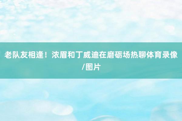 老队友相逢！浓眉和丁威迪在磨砺场热聊体育录像/图片