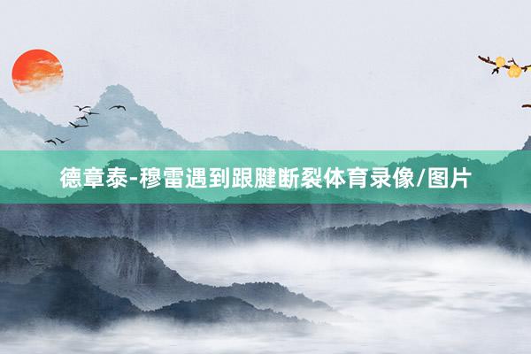 德章泰-穆雷遇到跟腱断裂体育录像/图片