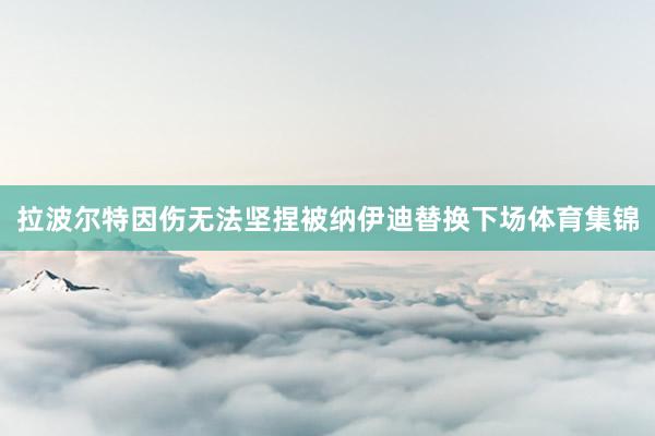拉波尔特因伤无法坚捏被纳伊迪替换下场体育集锦