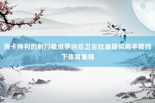 洛卡特利的射门被维罗纳后卫吉拉迪疑似用手臂挡下体育集锦