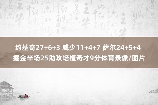 约基奇27+6+3 威少11+4+7 萨尔24+5+4 掘金半场25助攻培植奇才9分体育录像/图片