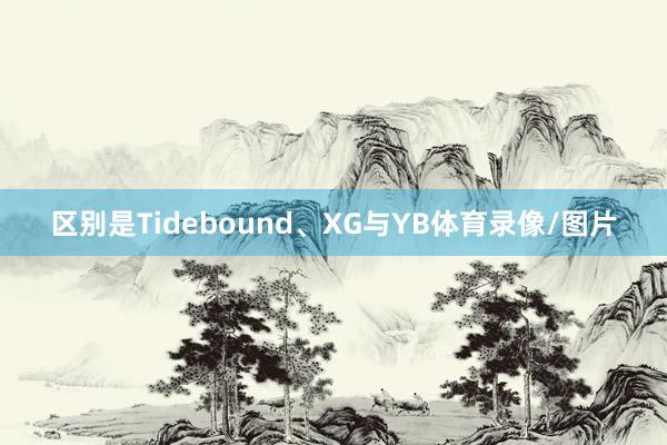 区别是Tidebound、XG与YB体育录像/图片