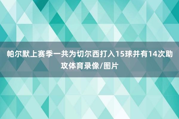 帕尔默上赛季一共为切尔西打入15球并有14次助攻体育录像/图片