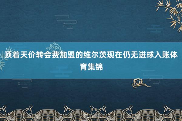 顶着天价转会费加盟的维尔茨现在仍无进球入账体育集锦