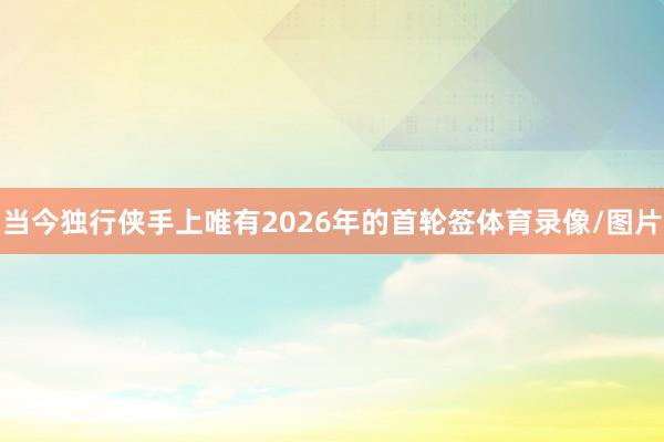 当今独行侠手上唯有2026年的首轮签体育录像/图片