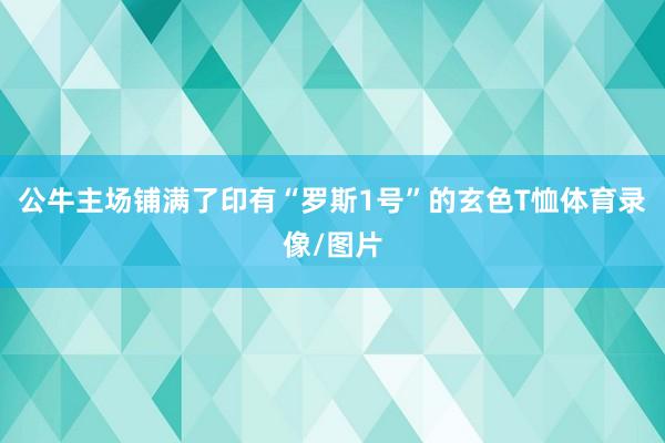 公牛主场铺满了印有“罗斯1号”的玄色T恤体育录像/图片