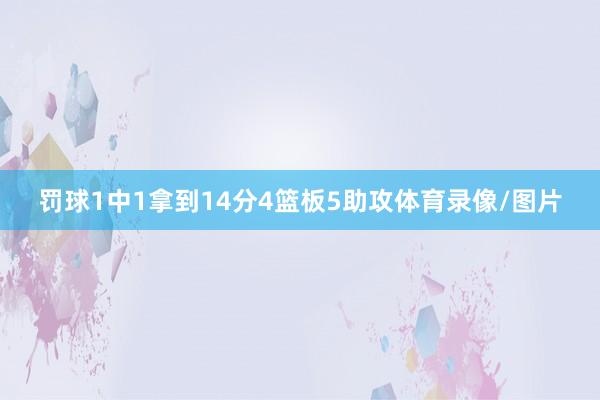 罚球1中1拿到14分4篮板5助攻体育录像/图片